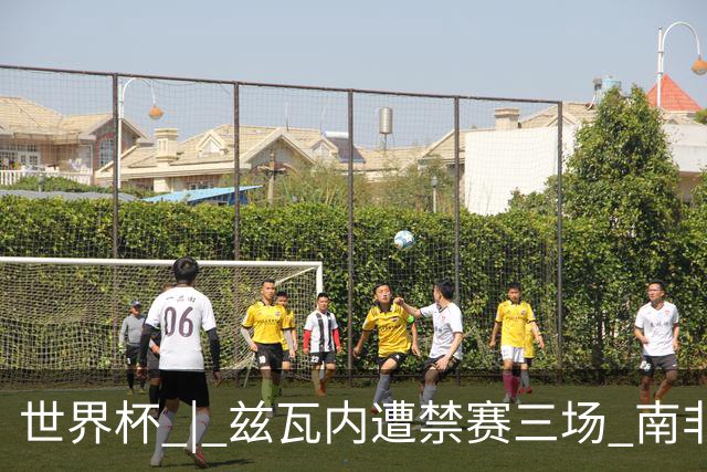 世界杯 | 兹瓦内遭禁赛三场 南非主帅布罗斯为弟子辩护
