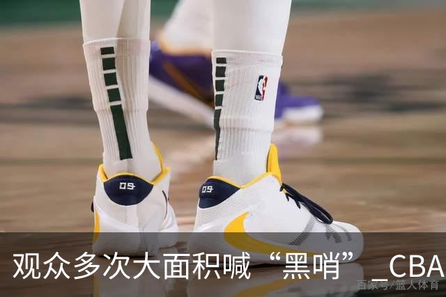 观众多次大面积喊“黑哨” CBA对上海赛区、上海久事俱乐部处罚